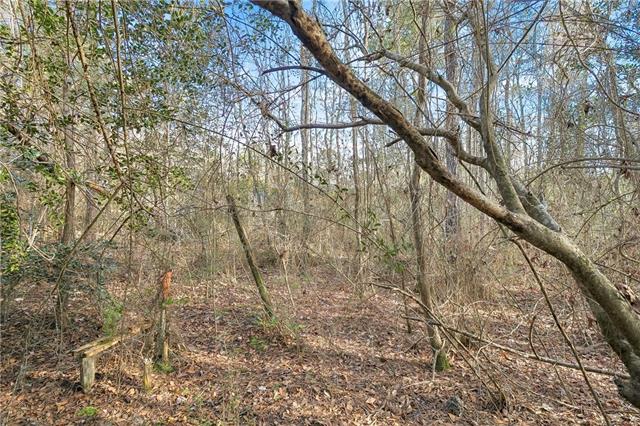 0 Javery Road Pearl River, LA 70452 - Photo 3 of 6