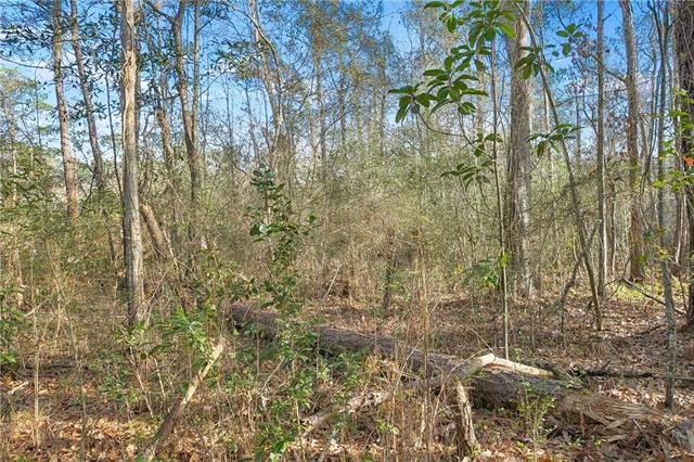 0 Javery Road Pearl River, LA 70452 - Photo 4 of 6