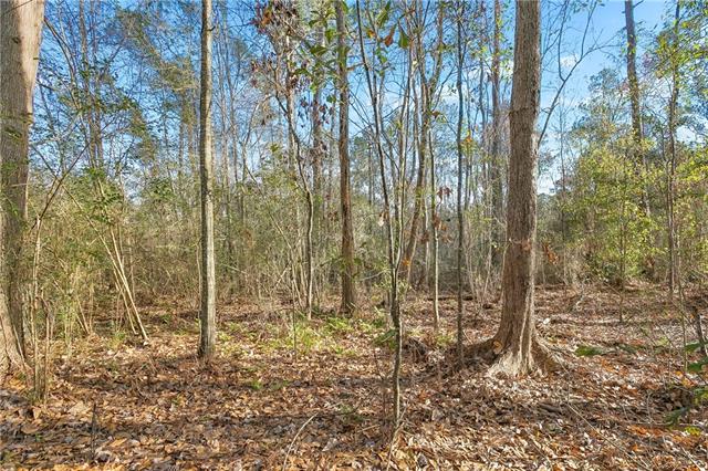 0 Javery Road Pearl River, LA 70452 - Photo 5 of 6