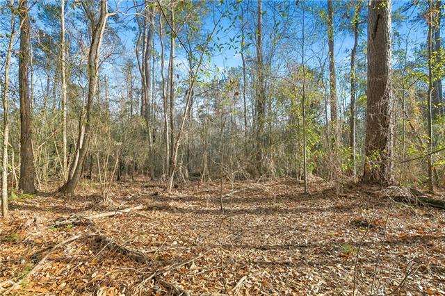 0 Javery Road Pearl River, LA 70452 - Photo 6 of 6