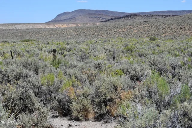 a view of a dry field