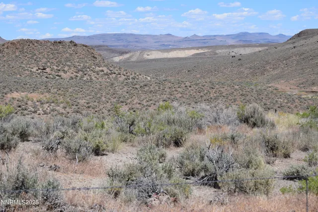 a view of a dry field with mountains in the background