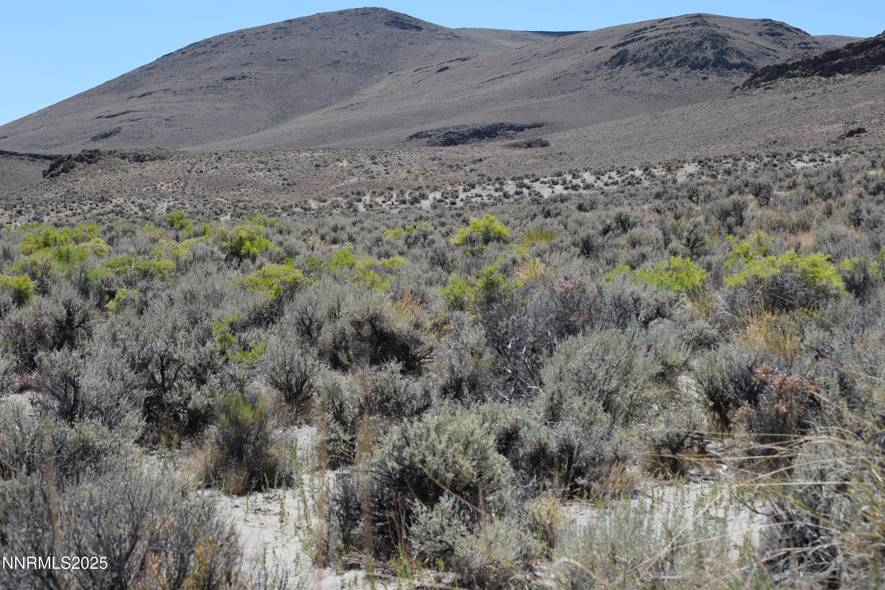 3303 High Rock Road, Unit ADDRESS NUMBERS ARE NOT OFFICIAL BUT BASED ON APN Reno, NV 89510 - Photo 35 of 59 a view of a dry field