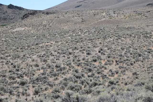 a view of mountain view with trees