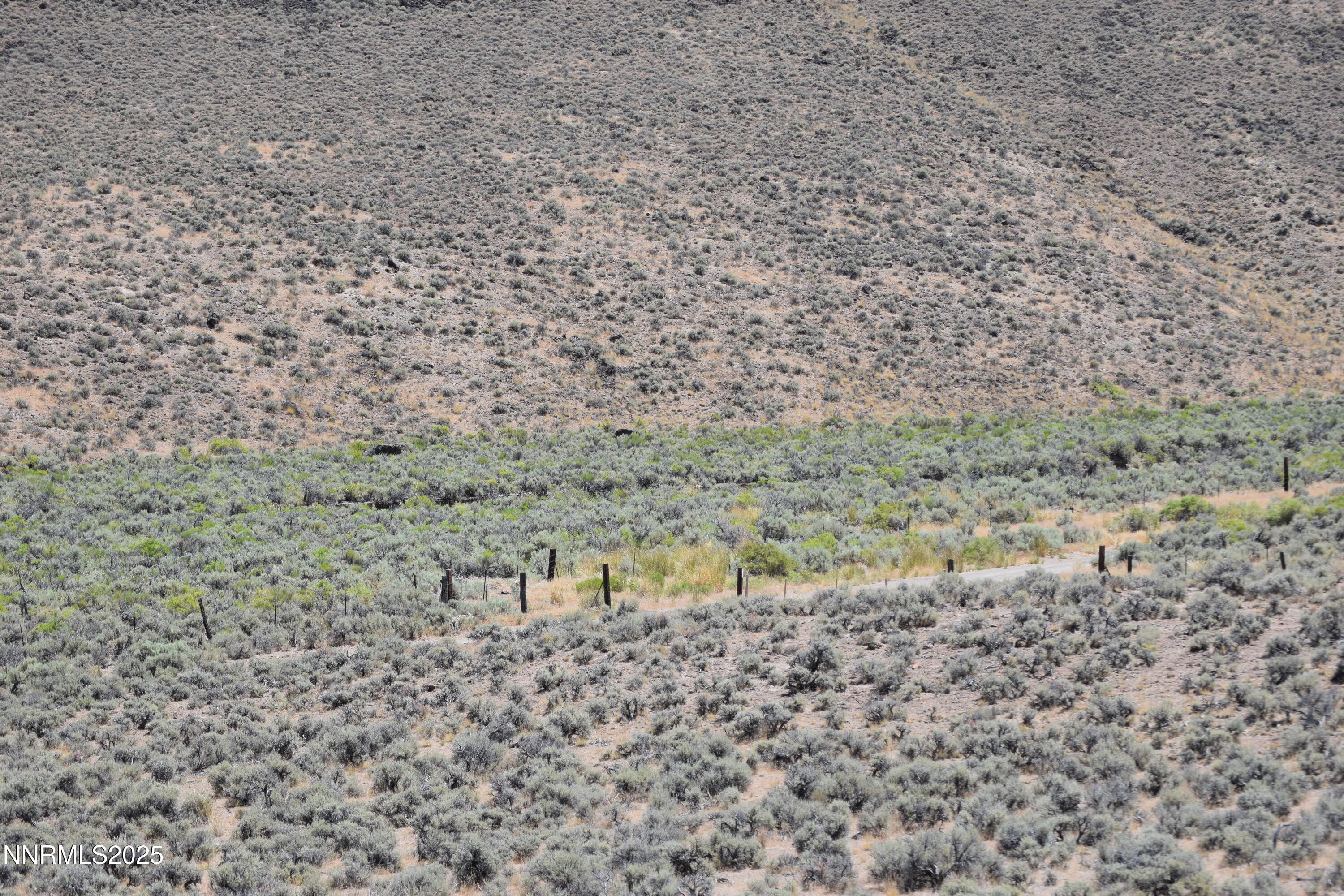 3303 High Rock Road, Unit ADDRESS NUMBERS ARE NOT OFFICIAL BUT BASED ON APN Reno, NV 89510 - Photo 50 of 59 a view of a dry yard with and trees