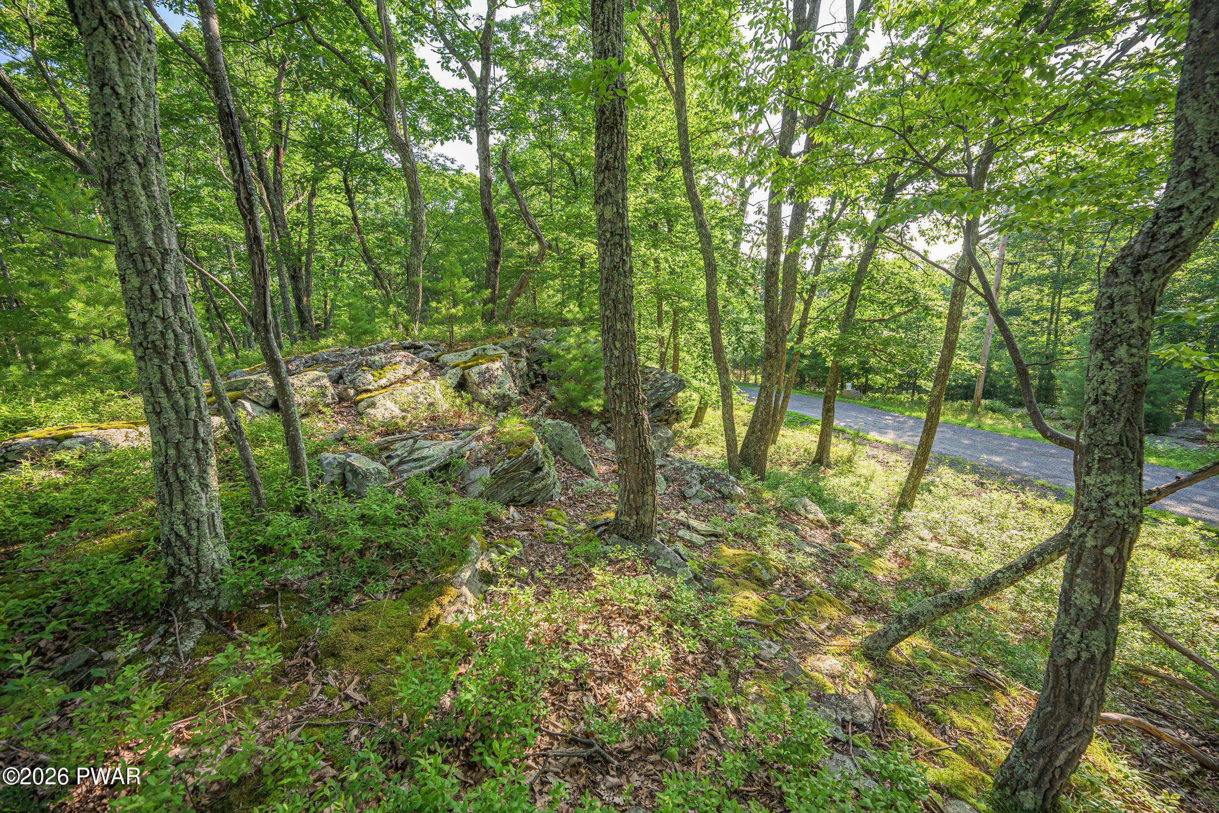High Ridge Dingmans Ferry, PA 18328 - Photo 25 of 63