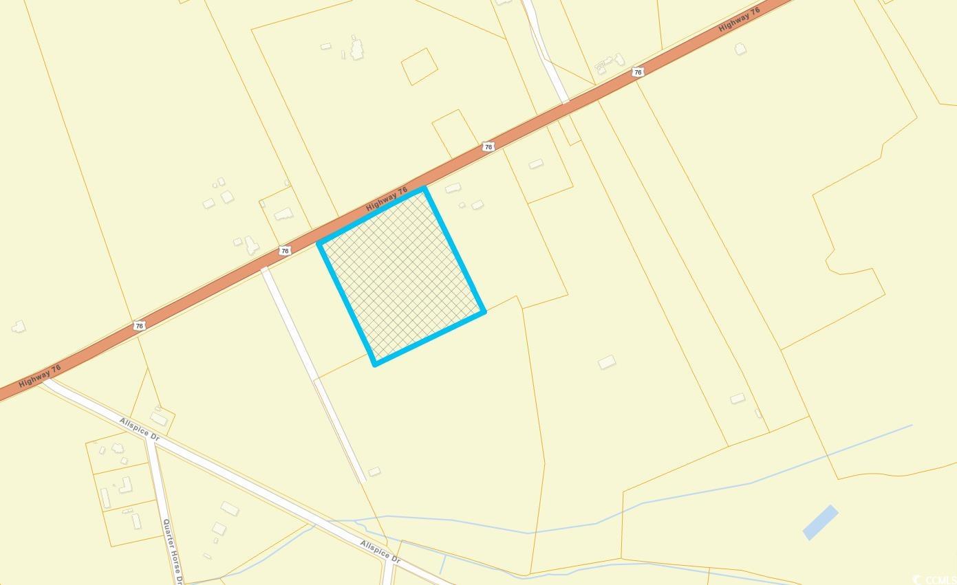 76 Nichols Sc 29581 Nichols, SC 29581 - Photo 2 of 6