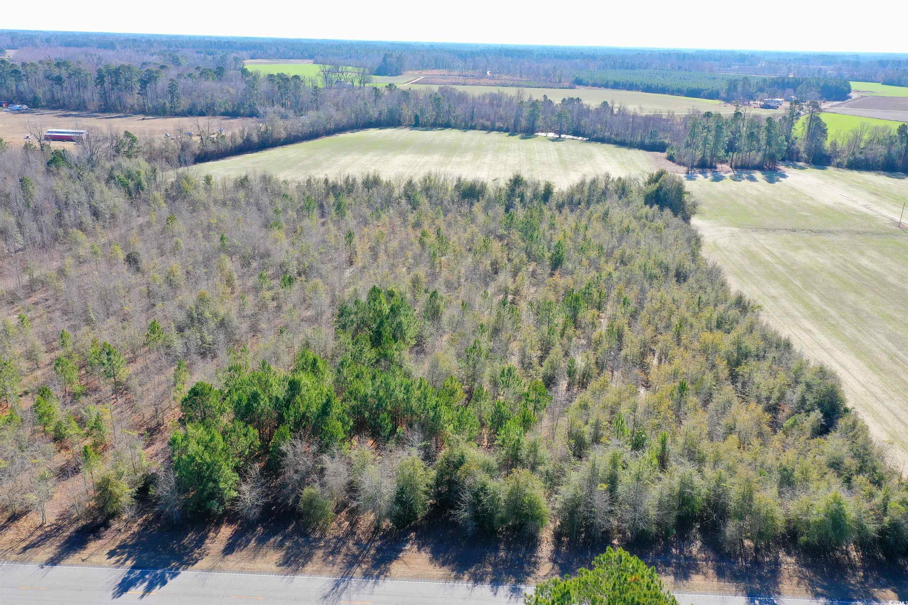 76 Nichols Sc 29581 Nichols, SC 29581 - Photo 6 of 6