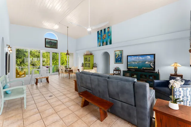 a view of a park with a tree