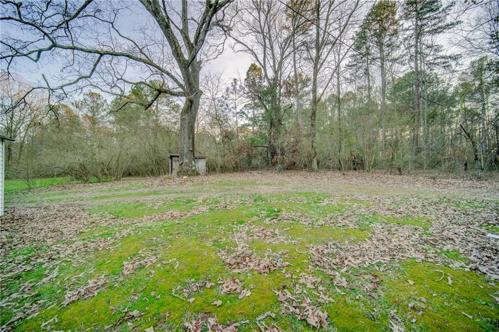 1290 Reavis Mountain Road Ball Ground, GA 30107 - Photo 33 of 35