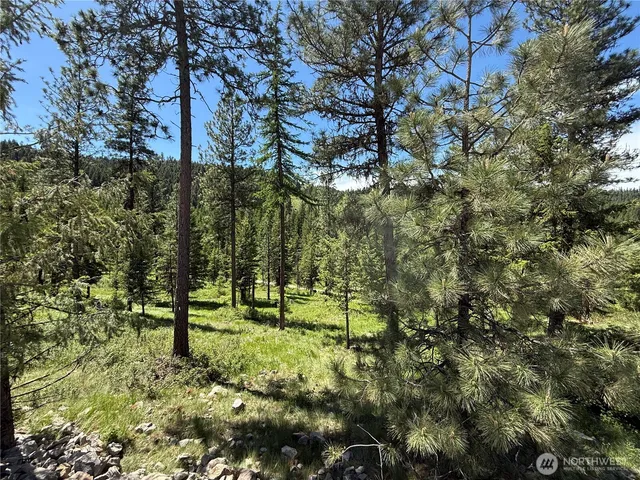 a view of outdoor space and trees