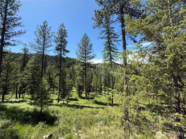 a view of an outdoor space and yard