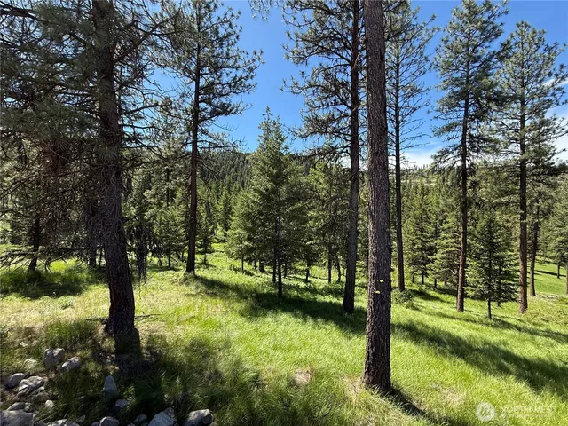 a view of outdoor space