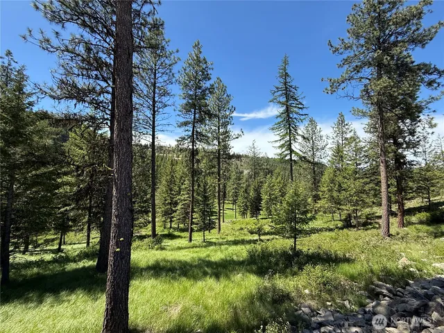a big yard with lots of green space and fountain