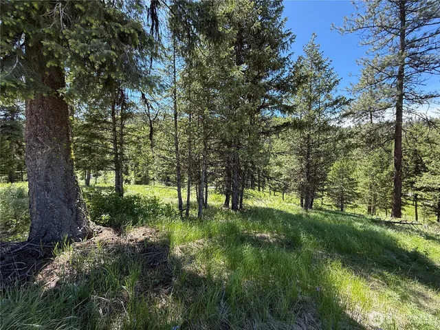 a view of a city with mountains in the background