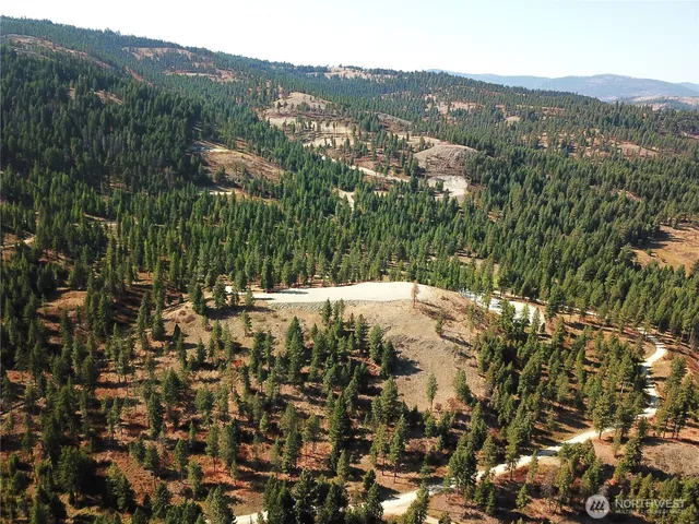 a view of a dry yard with a large tree