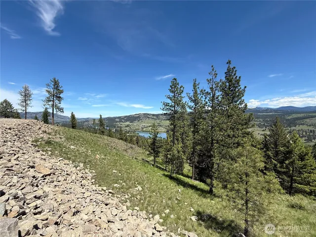 a view of a yard with a tree