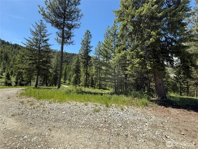 a view of a city with lush green forest