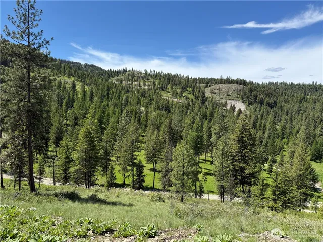 a view of a city with lush green forest
