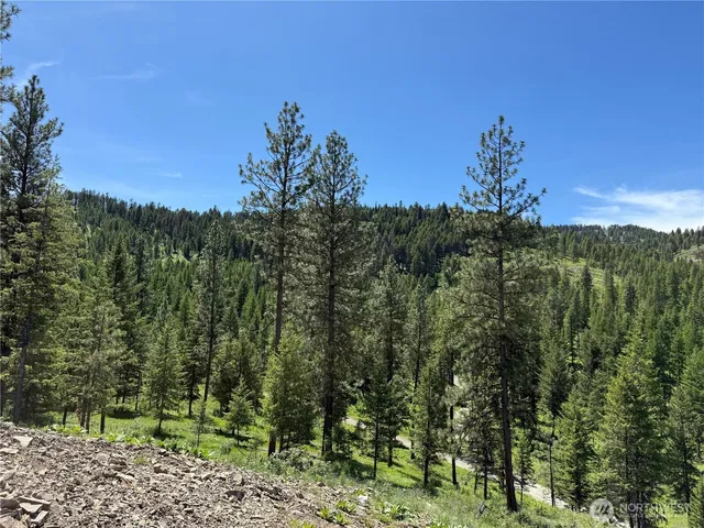 a view of outdoor space with trees all around