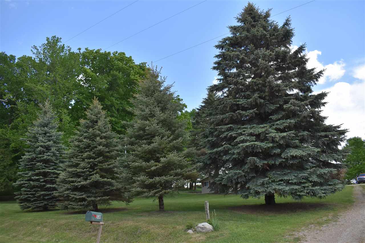 530 McCulloch Road Gladwin, MI 48624 - Photo 5 of 12