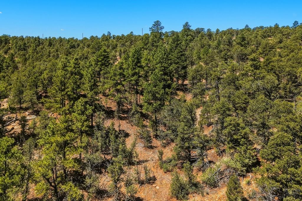 24900 County Road Boncarbo, CO 81024 - Photo 50 of 52