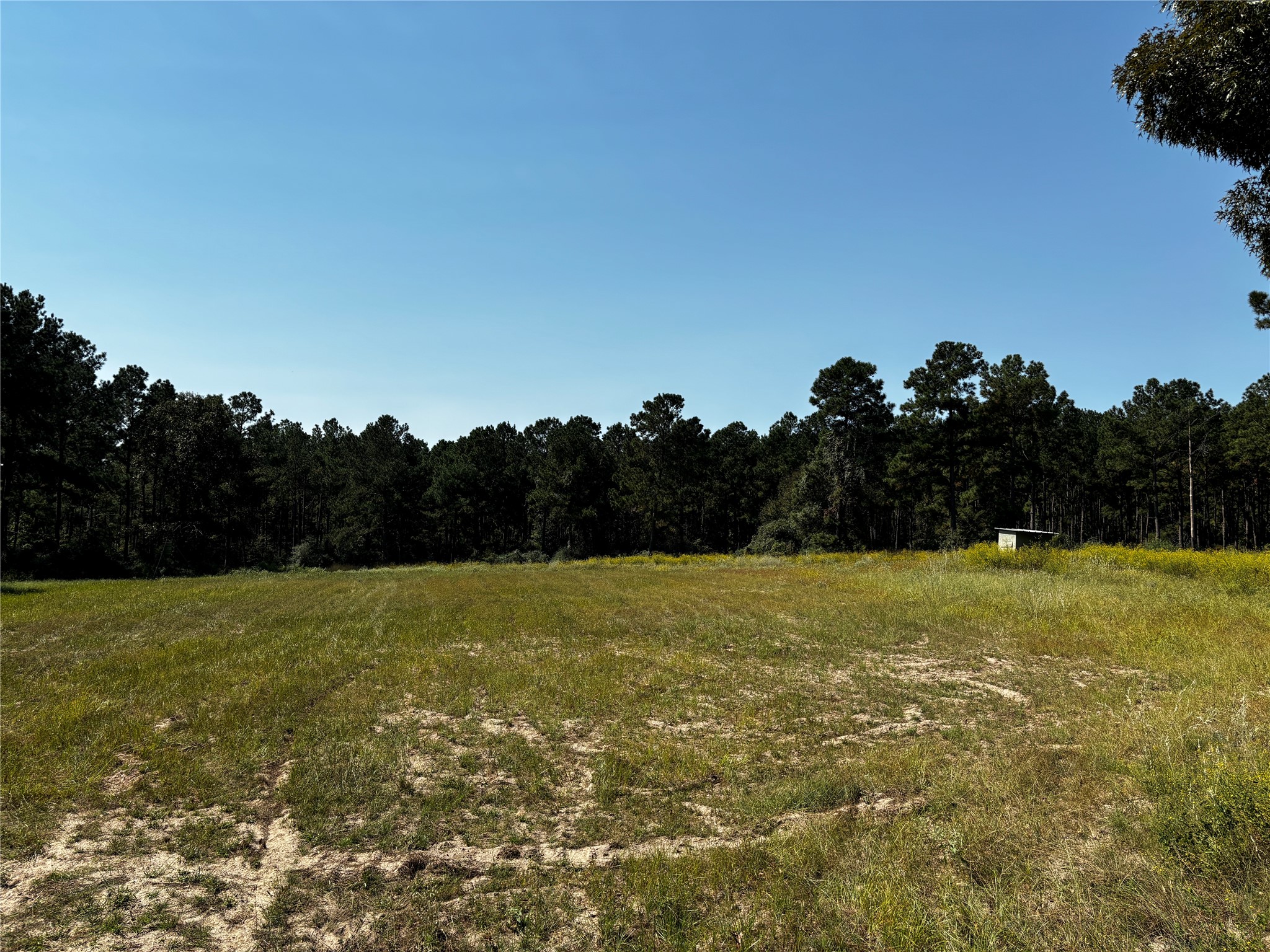 3 Trinity Lady Park Road West Trinity, TX 75862 - Photo 2 of 7 a view of an ocean and a yard