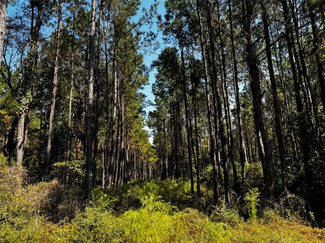 $1,757,597 | 3 Trinity Lady Park Road West, Trinity, TX 75862