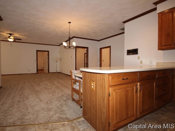 117 Timberridge Drive Springfield, IL 62702 - Photo 6 of 19