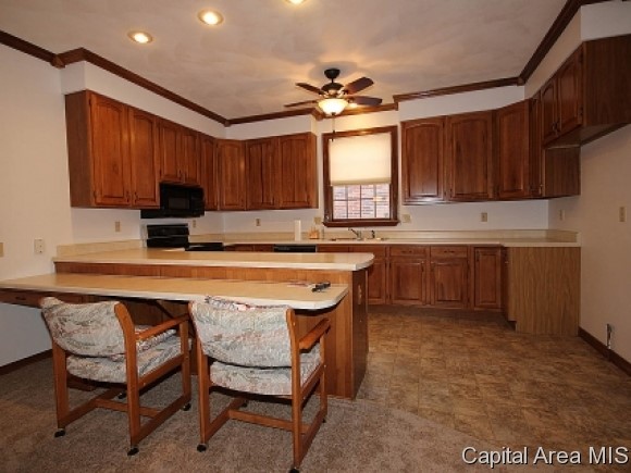 117 Timberridge Drive Springfield, IL 62702 - Photo 8 of 19