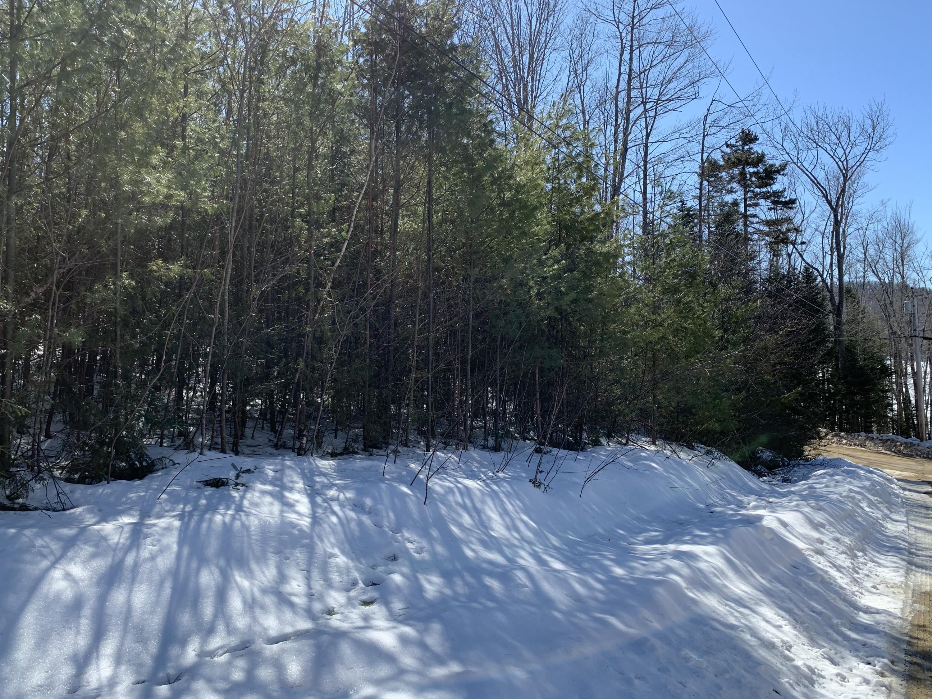 Tbd Howard Pond Road Hanover, ME 04237 - Photo 23 of 26 0D41A10A-1703-4894-8FF7-2F52A08CEF4A