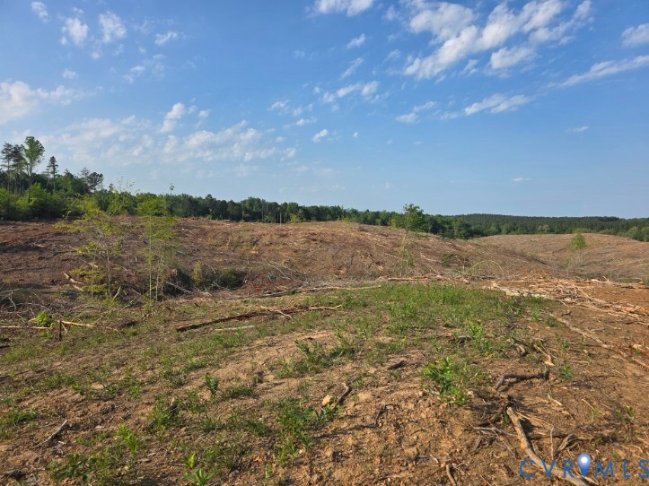 5367 Lunenburg County Road Keysville, VA 23947 - Photo 8 of 8