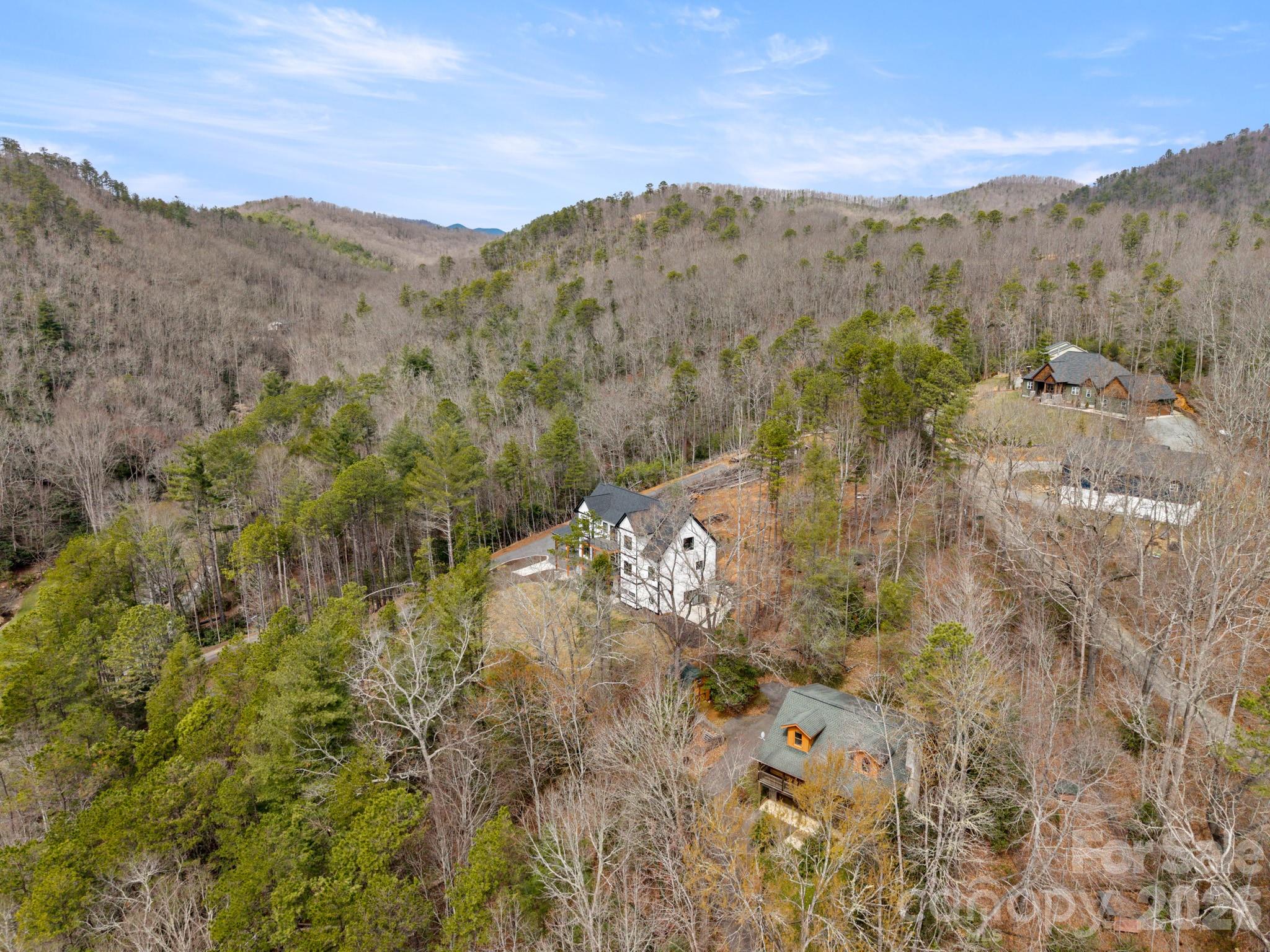 74 Jeranna Road Mills River, NC 28759 - Photo 39 of 48