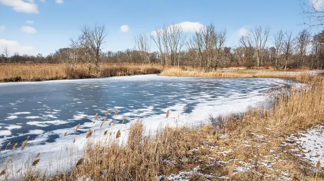 $195,000 | V/l Hardcastle Road, Brooklyn, MI 49230