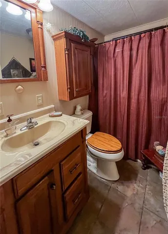 a bathroom with a sink a toilet a mirror and shower curtain