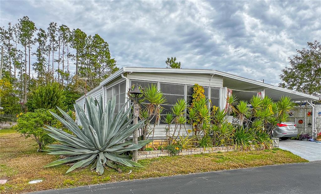 34543 Rosebud Row Zephyrhills, FL 33541 - Photo 27 of 41 a view of outdoor space yard and porch