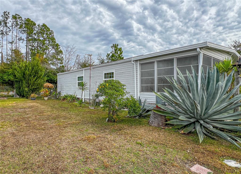 34543 Rosebud Row Zephyrhills, FL 33541 - Photo 28 of 41 a view of a backyard with plants