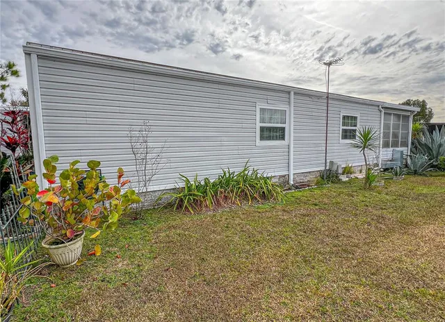 a view of a backyard with plants and large tree