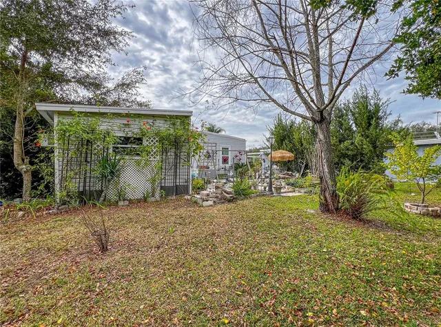 a view of a yard with plants and a large tree