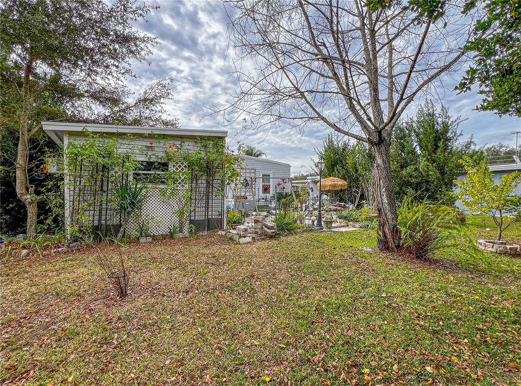 34543 Rosebud Row Zephyrhills, FL 33541 - Photo 37 of 41 a view of a yard with plants and a large tree