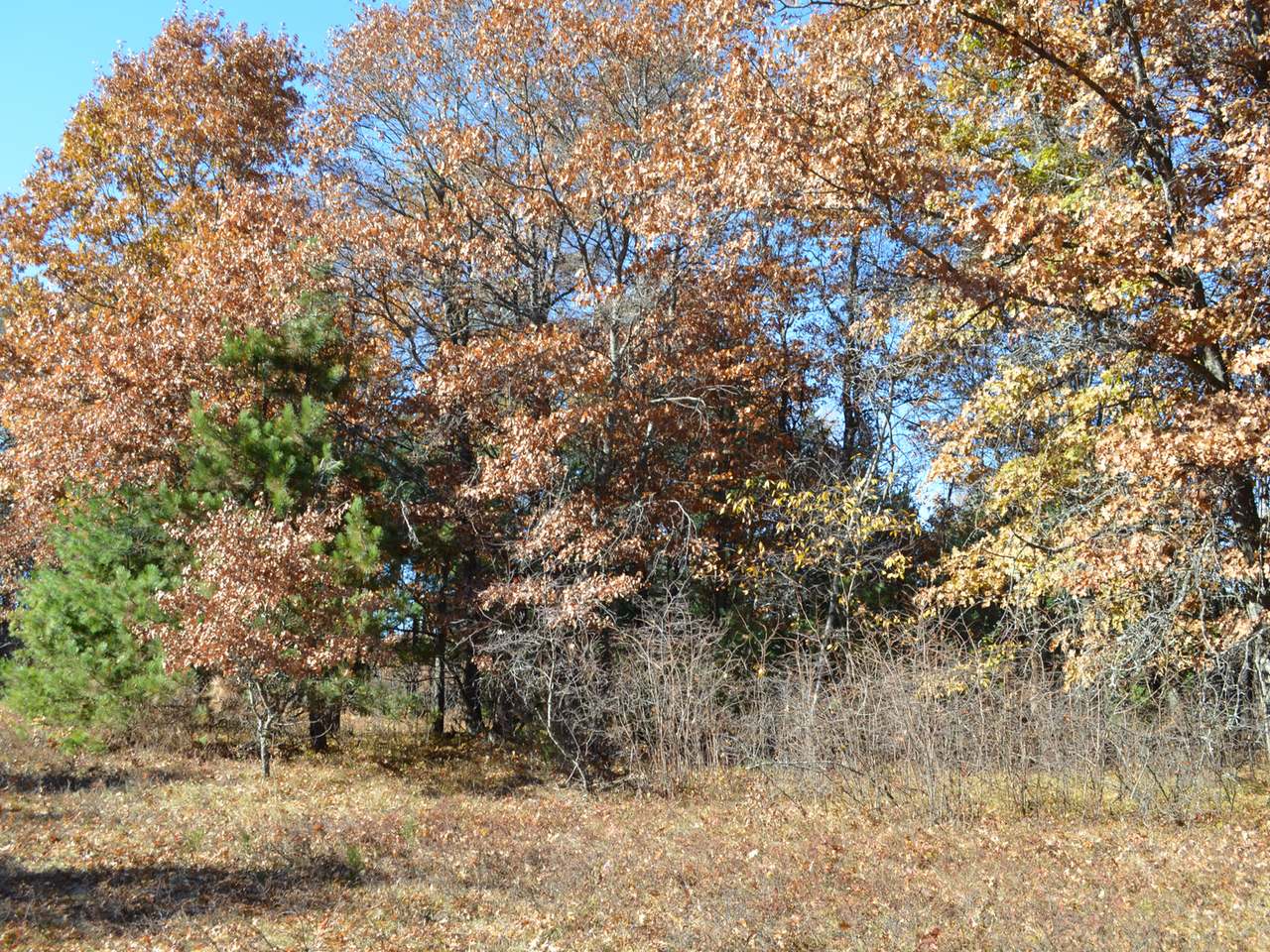 Lot 1 Point O Pines Road Tomahawk, WI 54487 - Photo 10 of 20 Gallery Image 10