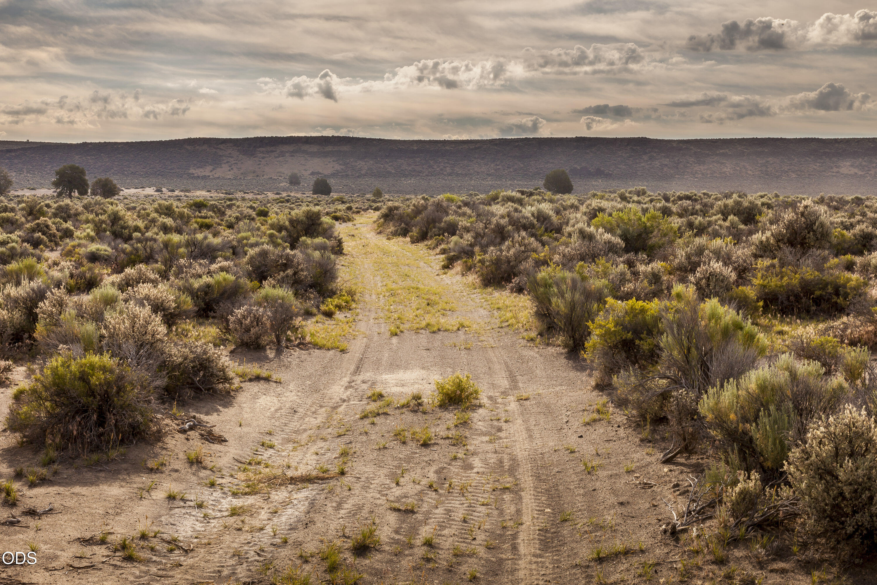 0 Buffalo Wells Road Christmas Valley, OR 97641 - Photo 5 of 19