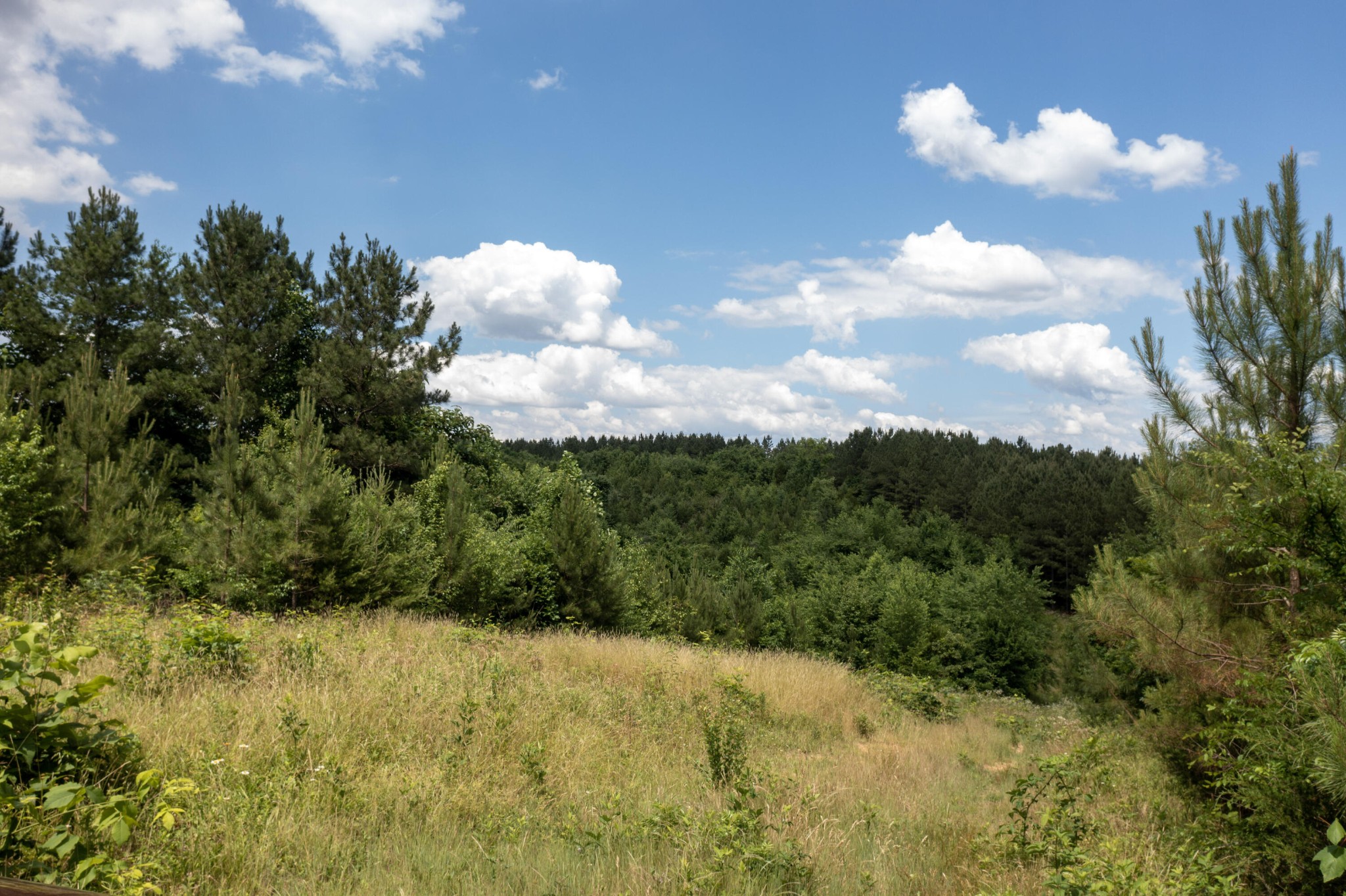 4 State Highway Calhoun, TN 37309 - Photo 17 of 22