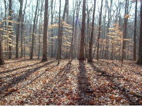 0 North Hinkle Road Bloomington, IN 47408 - Photo 2 of 8