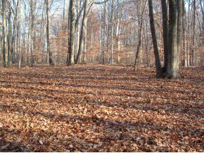 0 North Hinkle Road Bloomington, IN 47408 - Photo 3 of 8