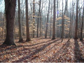 0 North Hinkle Road Bloomington, IN 47408 - Photo 4 of 8