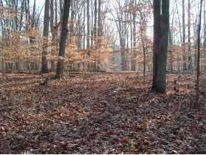 0 North Hinkle Road Bloomington, IN 47408 - Photo 5 of 8
