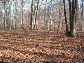 0 North Hinkle Road Bloomington, IN 47408 - Photo 6 of 8