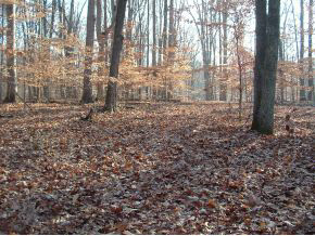 0 North Hinkle Road Bloomington, IN 47408 - Photo 7 of 8
