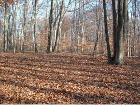 0 North Hinkle Road Bloomington, IN 47408 - Photo 8 of 8